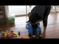 videos de Arturs Rubber Cat