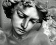 Penitent - A Shapeless Beauty