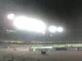 stadio napoli- benfica pazzi di sant'erasmo
