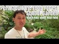 Permaculture Food Forest School Garden teach kids about Real Food