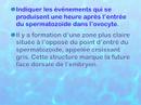 Cellules, ADN et unité du vivant fin du I) Cellules, ADN et unité du vivant fin du I)