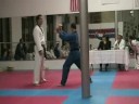 Ray Mannion - 2 boards reverse backfist