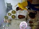 Tuned Gong Set Test (neck strainer) Tuned Gong Set Test (neck strainer)