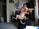 Killer Pitt Bull Kills Man with Love