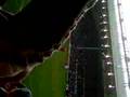 A Brilliant Save From Luke Steele