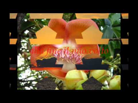 LA MIE ETA'_wmv