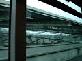 katia miyazaki aeroporto da frança paris destino japão voo tam jal