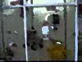 Starbavideo Starbavideo