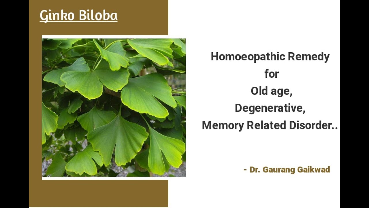 Ginko biloba -Homeopathic Remedy for Old age,,Memory Related Disorders-Dr Gaurang Gaikwad