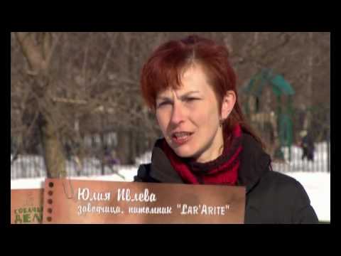 YouTube Трейлер