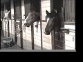 Return to Freedom - World Trust Day Camp