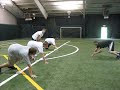 Synergy Athletics Football Camp \ Synergy Athletics Football Camp \