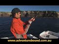Adventure Bound - Jervis Bay Kingfish Part 2