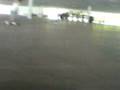 videos de Dropando na marquise
