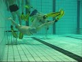 Trening311008del1