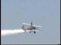2001 NAS Lemoore Airshow - Silver Wings Wingwalking
