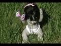 videos de Horror movie!