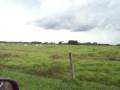 videos de finca bonaire.MOV