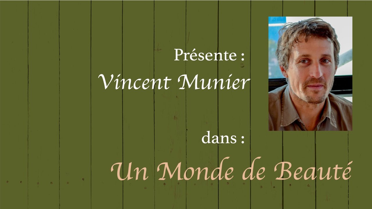 Parlez moi de vous présente Vincent Munier dans un Monde de Beauté
