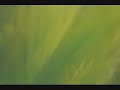 Arild Andersen (feat. T. Rypdal): \"Green Shading Into Blue\" Arild Andersen (feat. T. Rypdal): \"Green Shading Into Blue\"