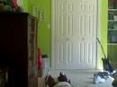 the most randomest and funniest video on youtube ever the most randomest and funniest video on youtube ever