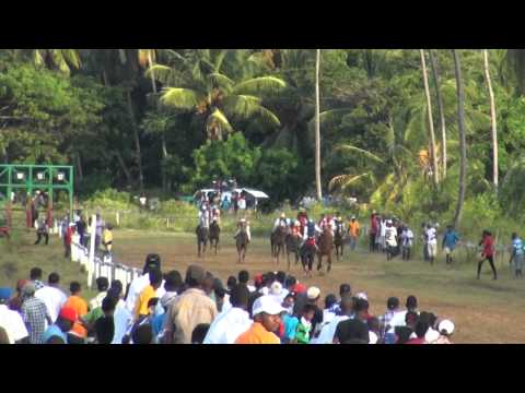 horse racing