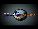 Polar Palooza