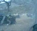 tepo en accion