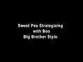 Calico and Sphynx Cat Big Brother 8 Spoof 2007