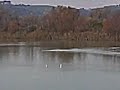Hydro saw 6S LIPO test drive - Roberto