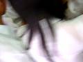 videos de phat  diu anh