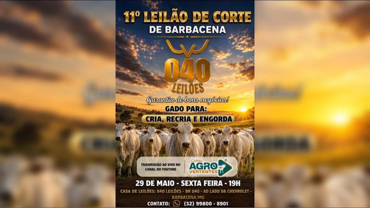 11º LEILÃO DE GADO DE CORTE PRESENCIAL E VIRTUAL 040 LEILÕES BARBACENA/MG - 29/05/2026