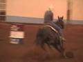 videos de BARREL HORSE FOR SALE