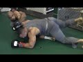 WEC Marcus Hicks Day in the Life Part 2