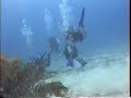 spotted leopard eel at playa del carmen