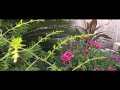 another HD test