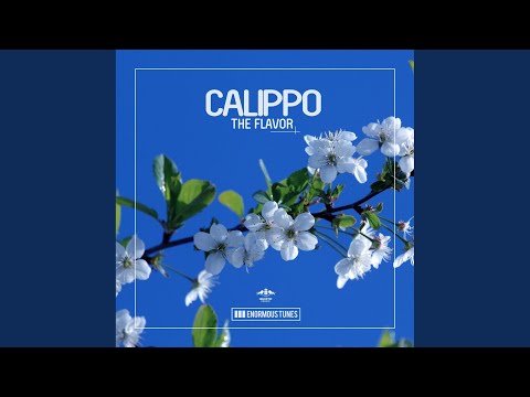 The Flavor (Instrumental Mix)