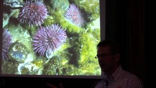 Café Scientifique: Talk predicting ocean acidification by Steve Archer