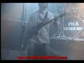 Picä tumilho - L'alquitara a Gulsiar - Live