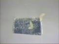 capsaicin plate test