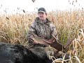 Alberta moose hunt with www.blueskyoutfitting.com