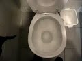 toilet flushing at southernmost city in the world toilet flushing at southernmost city in the world