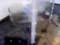 The reaction between caesium and water