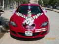 gelin arabas?-korkuteli-eyl�l cicekcilik