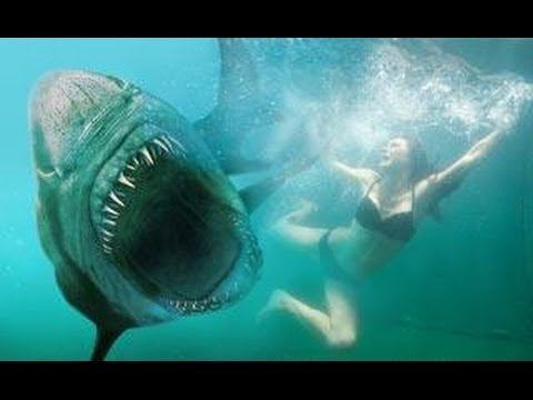 Imagen de previsualización de YouTube