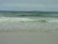 scottish sea monster- remember this is in the entertainment!