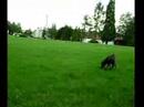Afternoon walk