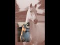 Afiançado de Flandes.wmv