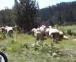 karabük eskipazar adiller köyü