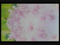 sailor moon stars ep  167 1/2 español mx